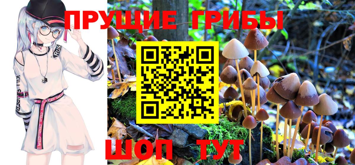 Псилоцибиновые грибы мухоморы Нижний Новгород